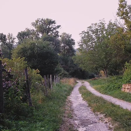 Joli Gite Pour 5 Personnes : Chez Cherrie Saint-Julien-de-Lampon Exterior photo